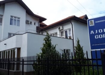 Suveica penală de la AJOFM Gorj, în anchetă