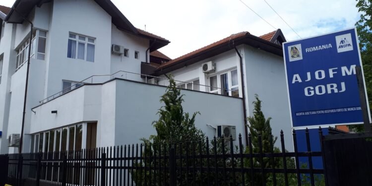 Suveica penală de la AJOFM Gorj, în anchetă