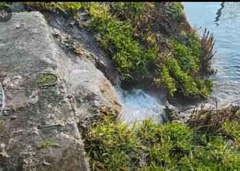 Canalizarea de milioane de euro s-a spart, iar fecalele curg râuri prin comună