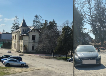 Casa lui Sergiu Nicolaescu, demolată de un afacerist gorjean