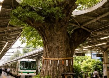 O poveste vie despre respect, identitate și echilibru între om și natură