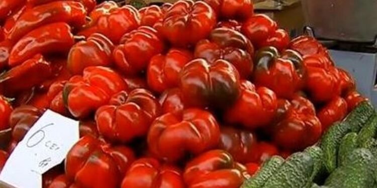 Motru: Dosar penal pentru o plasă de gogoșari