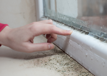 Cum scapi de mucegai fără soluții scumpe – metode simple care chiar funcționează