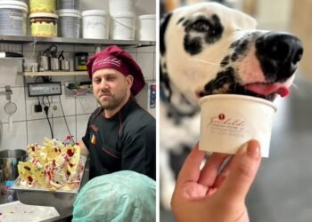 A dat lovitura în Germania cu o idee „nebună”: vinde înghețată pentru câini și nu mai face față comenzilor