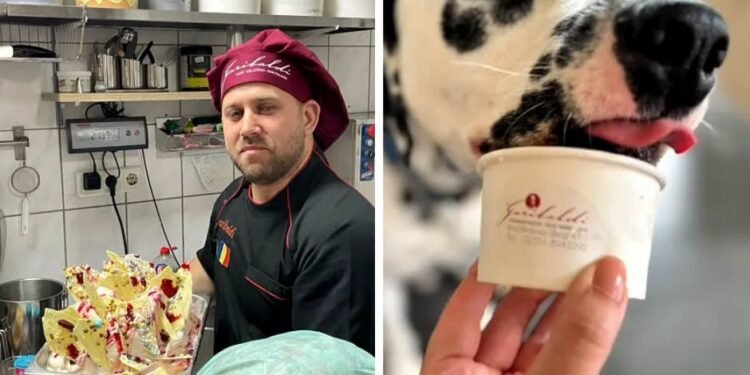 A dat lovitura în Germania cu o idee „nebună”: vinde înghețată pentru câini și nu mai face față comenzilor