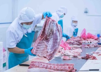 Carmangerie de două milioane de euro făcută de o companie din Gorj