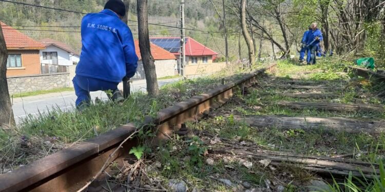 Copaci crescuți pe calea ferată, la o uzină strategică din industria de apărare