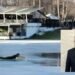 Controversa legată de noul prefect de Dolj, Eugen Călinoiu