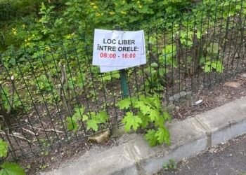 „Parchează liniștit”: gestul unui craiovean care a adus un strop de normalitate într-un oraș tensionat de taxe și reguli