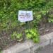 „Parchează liniștit”: gestul unui craiovean care a adus un strop de normalitate într-un oraș tensionat de taxe și reguli