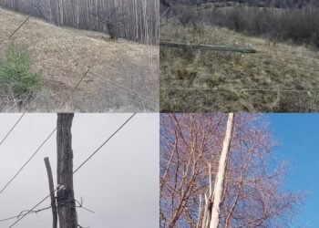 Dosar penal pentru o întreagă echipă de intervenție asupra rețelei electrice