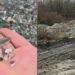 Bombă ecologică într-o carieră minieră. Cine și-a dat acordul? Falimentul a spălat urmele!