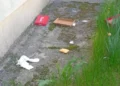 A aruncat plasa de gunoi pe fereastră. Ce a pățit!
