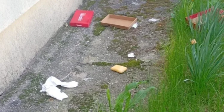 A aruncat plasa de gunoi pe fereastră. Ce a pățit!