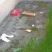A aruncat plasa de gunoi pe fereastră. Ce a pățit!
