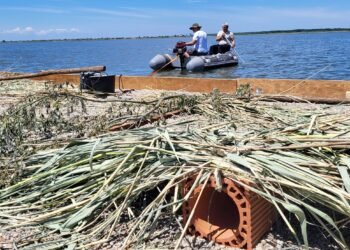 Insule plutitoare pentru păsările sălbatice pe Lacul Bistreț. Proiect spectaculos pentru protejarea biodiversității în Dolj