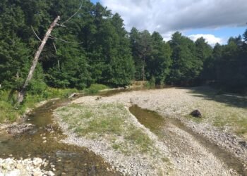 Proces pierdut de o primărie din zona Motru. Proprietar de teren, despăgubit!
