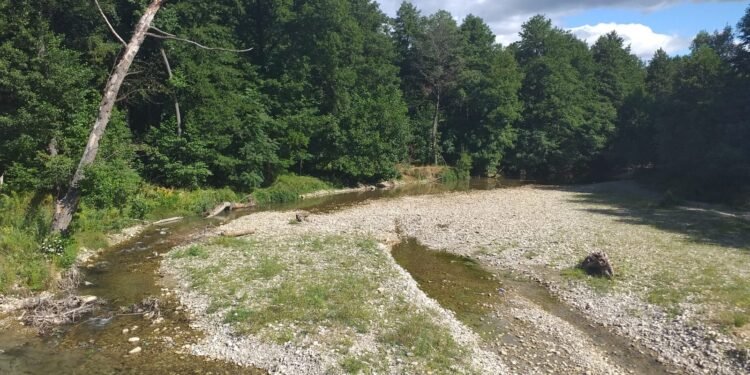 Proces pierdut de o primărie din zona Motru. Proprietar de teren, despăgubit!