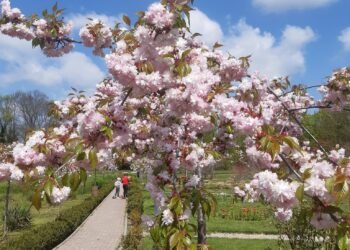 O nouă grădină botanică, lângă Craiova. Cine o face și cu ce bani!