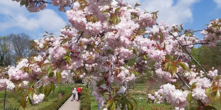 O nouă grădină botanică, lângă Craiova. Cine o face și cu ce bani!
