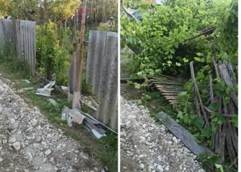 Buldozerul lui Bachus a făcut prăpăd în Gorj! Garduri spulberate, pomi culcați la pământ, iar „Dorel” a ieșit campion la etilotest