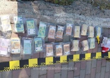 343.700 de euro ascunși într-un microbuz, descoperiți la Calafat