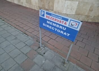 directorat ceo