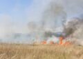 Un oraș întreg, chemat la incendiu. Bate vântul!