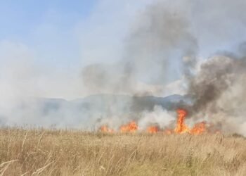 Un oraș întreg, chemat la incendiu. Bate vântul!