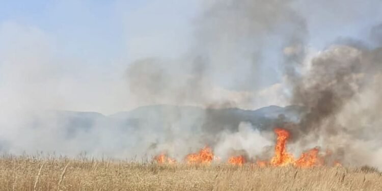 Un oraș întreg, chemat la incendiu. Bate vântul!