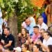 Dronele de pe tărâmul lui Iordache, plătite de „Doina Gorjului”