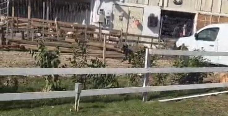 Afacerist din Gorj, cu ferma blocată de autorități