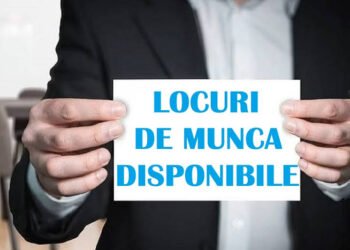Ce salarii oferă firmele din Dolj. Diferențe mici între director și îngrijitor