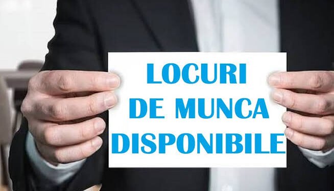 Ce salarii oferă firmele din Dolj. Diferențe mici între director și îngrijitor
