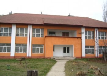 Profesoară acuzată de purtare abuzivă