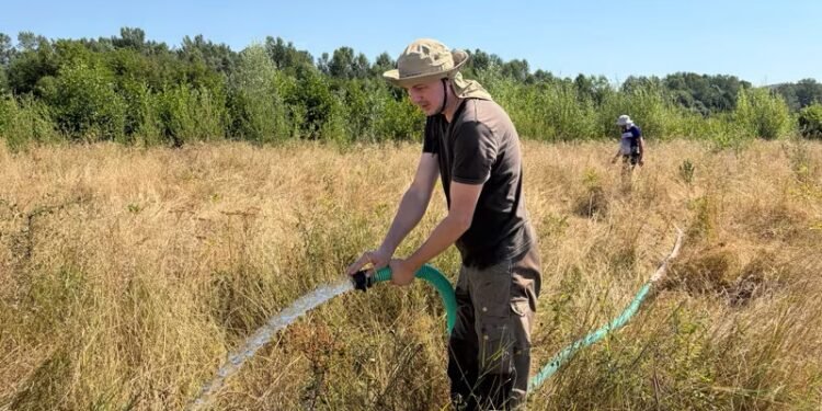 Luptă să salveze o plantație de pe malul Gilortului