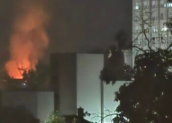 Incendiu în Parcul Romanescu din Craiova