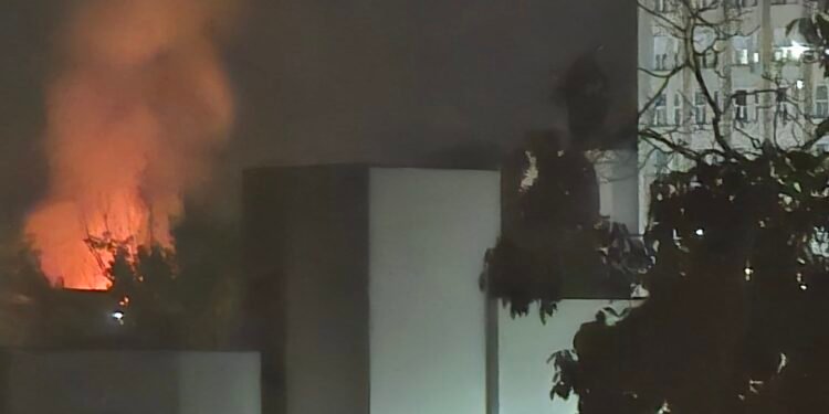 Incendiu în Parcul Romanescu din Craiova