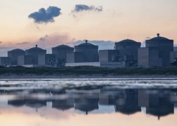 Centrala nucleară a fost oprită de… meduze