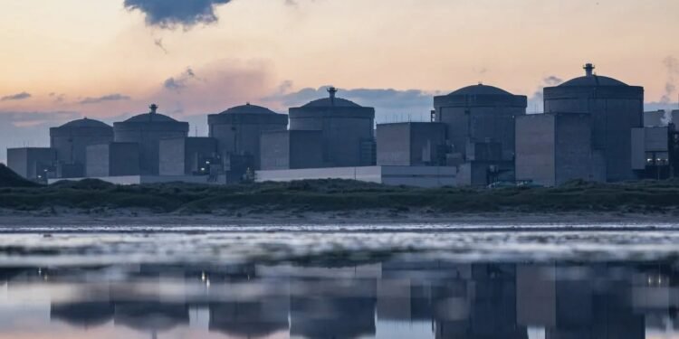 Centrala nucleară a fost oprită de… meduze