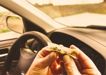 Gorj: Prins drogat la volan după ce fumase marijuana aproape zilnic