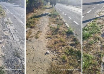 Hal de trotuare într-un oraș din Gorj