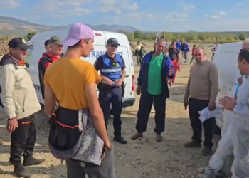 Scandal cu 500 de oi și capre la Runcu! Crescătorii s-au opus sacrificării animalelor bolnave, au venit polițiștii și jandarmii