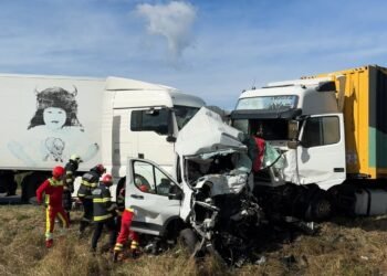 Șofer din Dolj, implicat în tragedia de pe DN6! Două femei și opt câini au pierit în accidentul în care un microbuz a fost zdrobit între TIR-uri