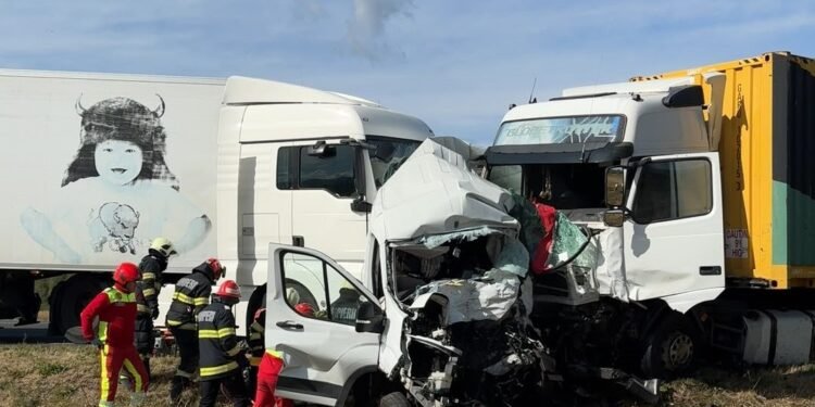 Șofer din Dolj, implicat în tragedia de pe DN6! Două femei și opt câini au pierit în accidentul în care un microbuz a fost zdrobit între TIR-uri