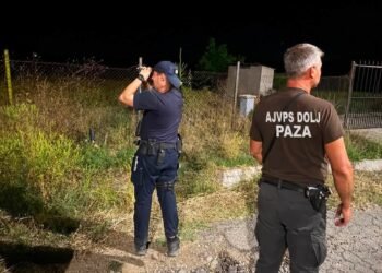 Controale în forță în fondurile de vânătoare din Dolj! AJVPS anunță patrule intensificate împotriva braconierilor