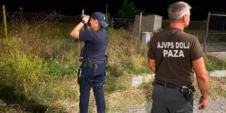 Controale în forță în fondurile de vânătoare din Dolj! AJVPS anunță patrule intensificate împotriva braconierilor