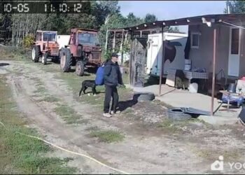 Primarul care a urmărit și prins hoțul, văzând că Poliția nu face nimic