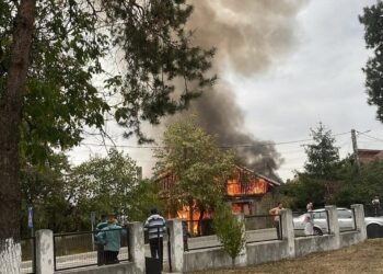 Incendiu uriaș la Drăguțești! Casa fostului primar, cuprinsă de flăcări. Flăcările au ajuns la câțiva metri, iar fumul se vede de la distanță