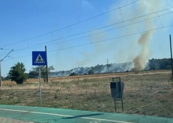 Incendiu ACUM la Motru, nu departe de zona locuită